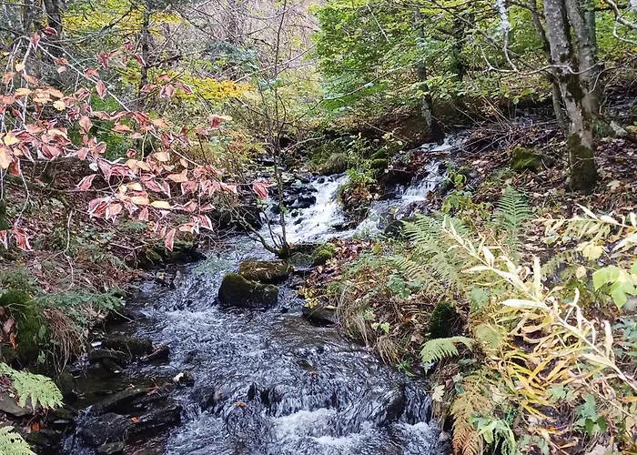 Les Bois Орсиваль