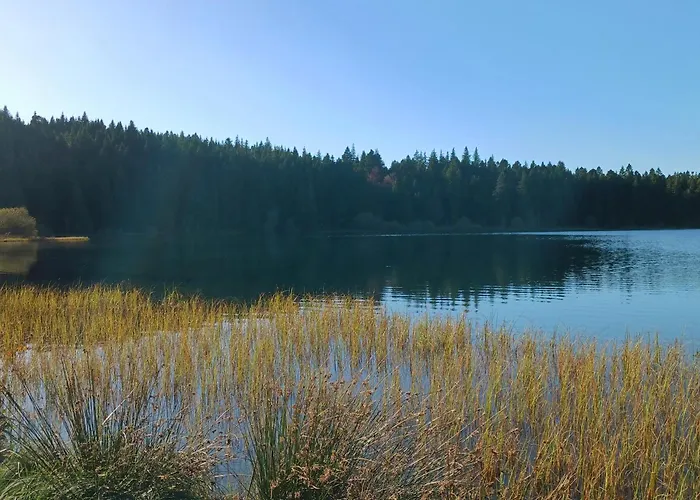 Les Bois Апартаменты *